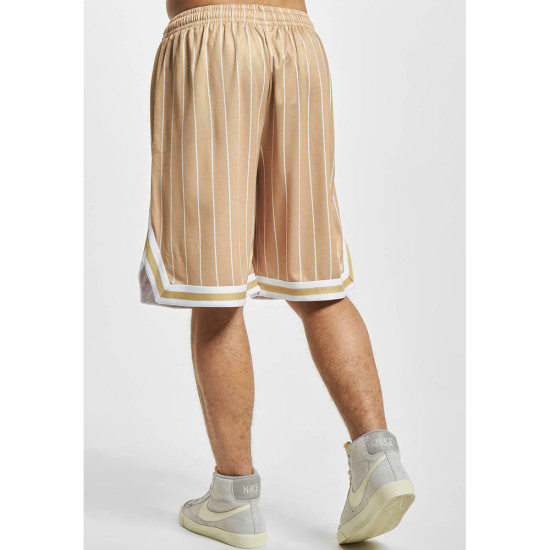 Karl Kani Ανδρικό σορτς Small Varsity Logo Pinstripe Mesh Shorts